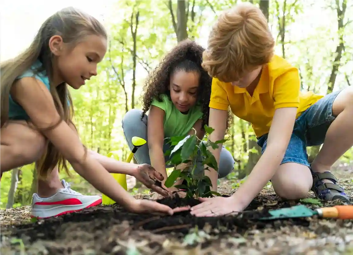 Menino e meninas plantando muda em aula de consumo consciente