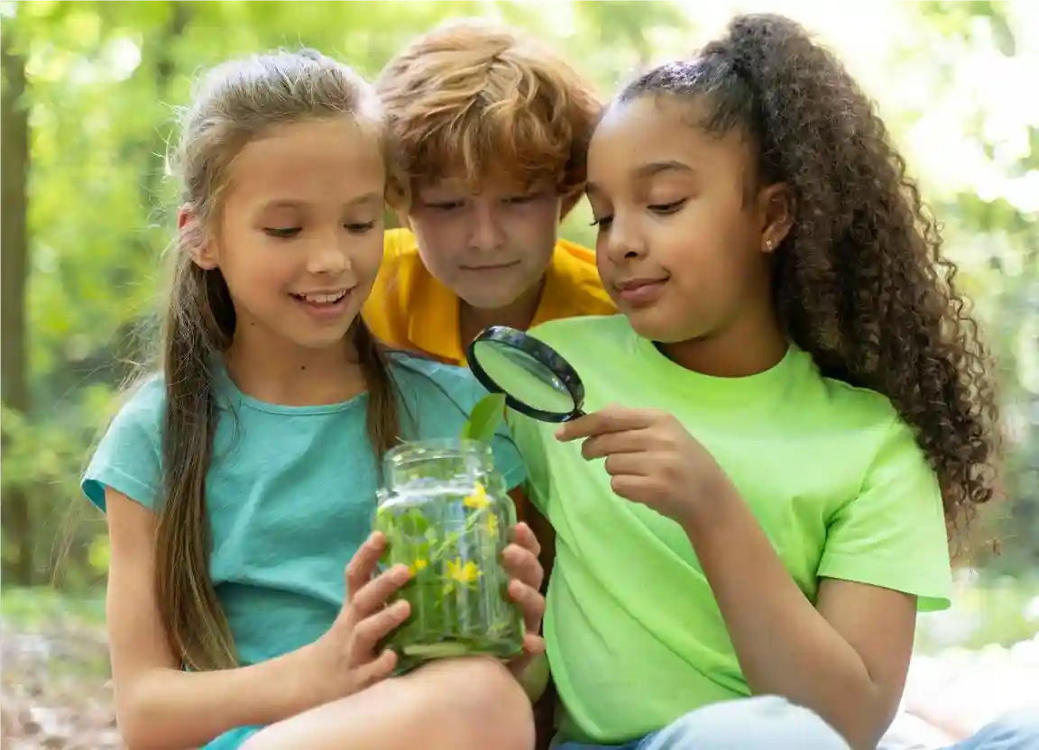 Menino e meninas avaliando planta em pote em aula de consumo consciente