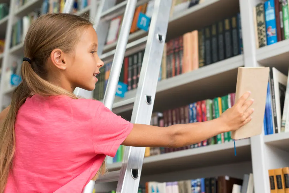 como organizar uma biblioteca escolar